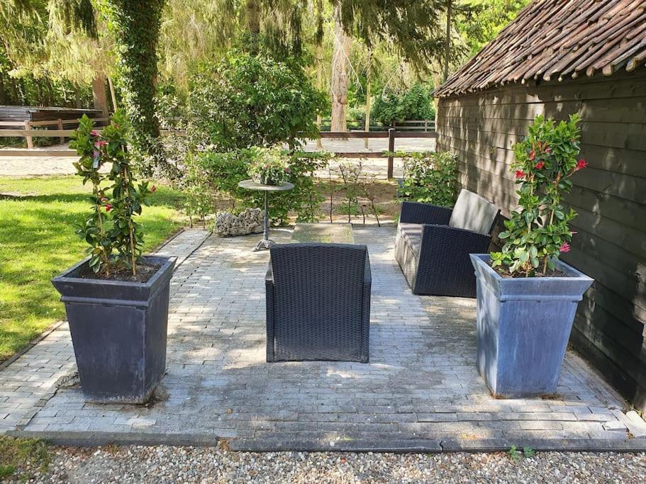 Midden In De Friese Bossen Op Landgoed Princenhof Oranjewoud Екстериор снимка