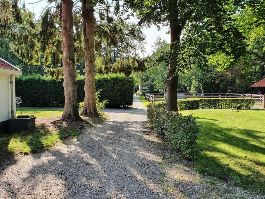 Midden In De Friese Bossen Op Landgoed Princenhof Oranjewoud Екстериор снимка