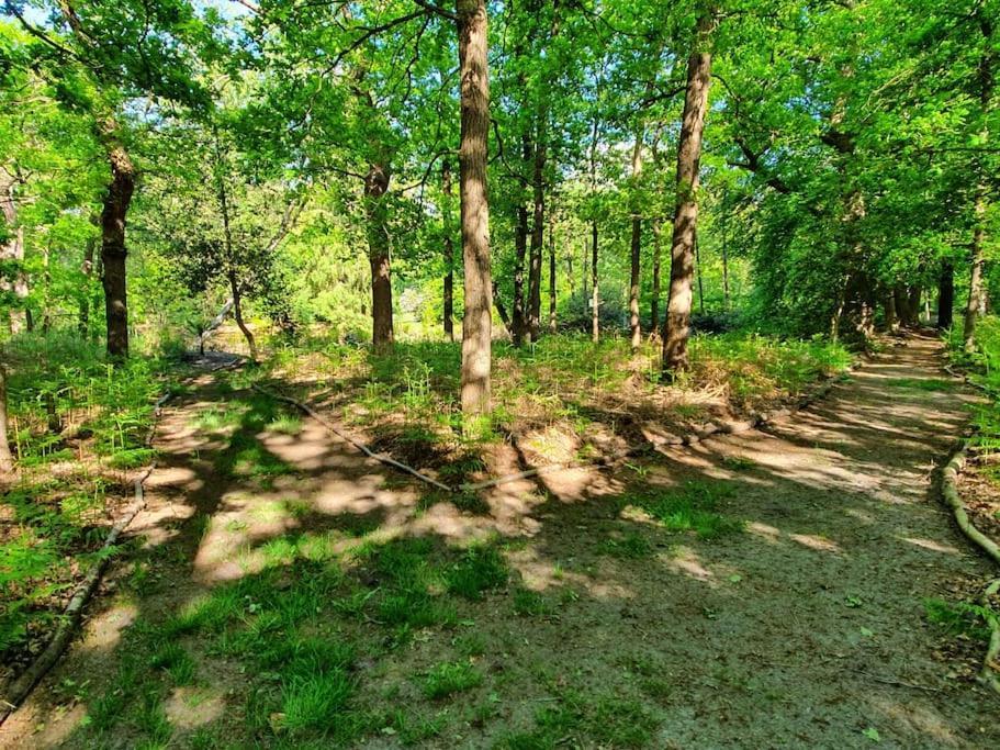 Midden In De Friese Bossen Op Landgoed Princenhof Oranjewoud Екстериор снимка