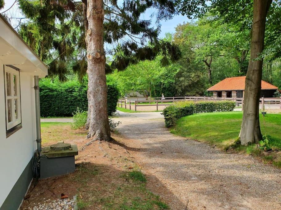 Midden In De Friese Bossen Op Landgoed Princenhof Oranjewoud Екстериор снимка
