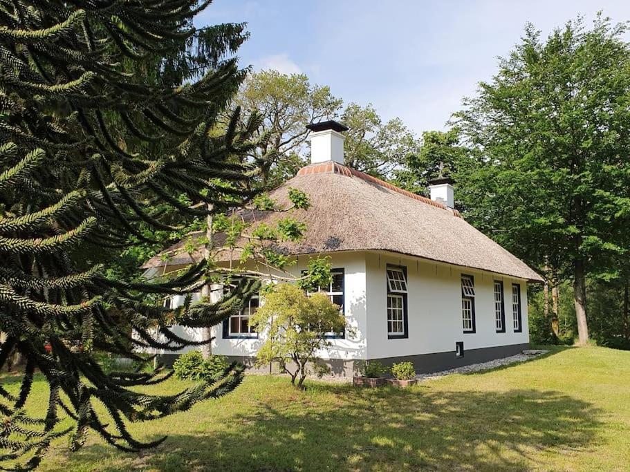 Midden In De Friese Bossen Op Landgoed Princenhof Oranjewoud Екстериор снимка