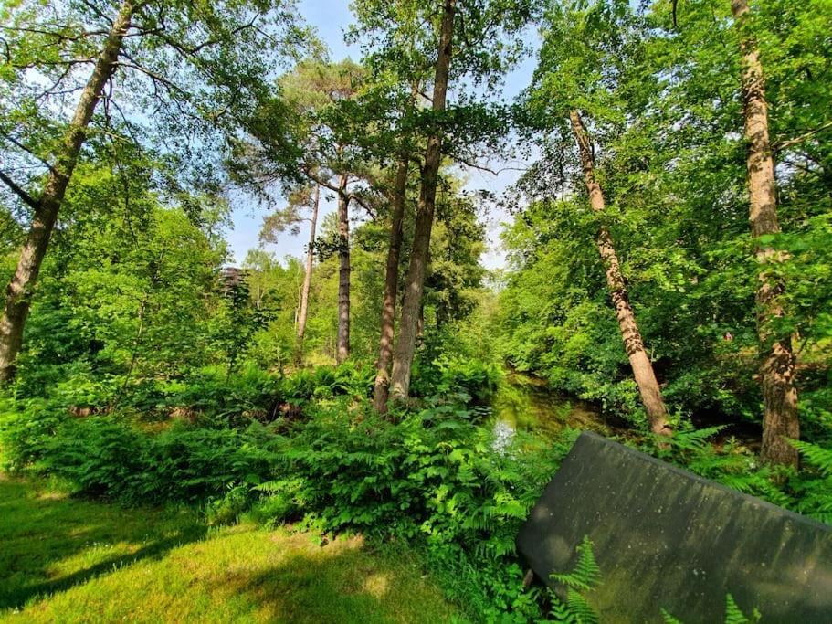 Midden In De Friese Bossen Op Landgoed Princenhof Oranjewoud Екстериор снимка